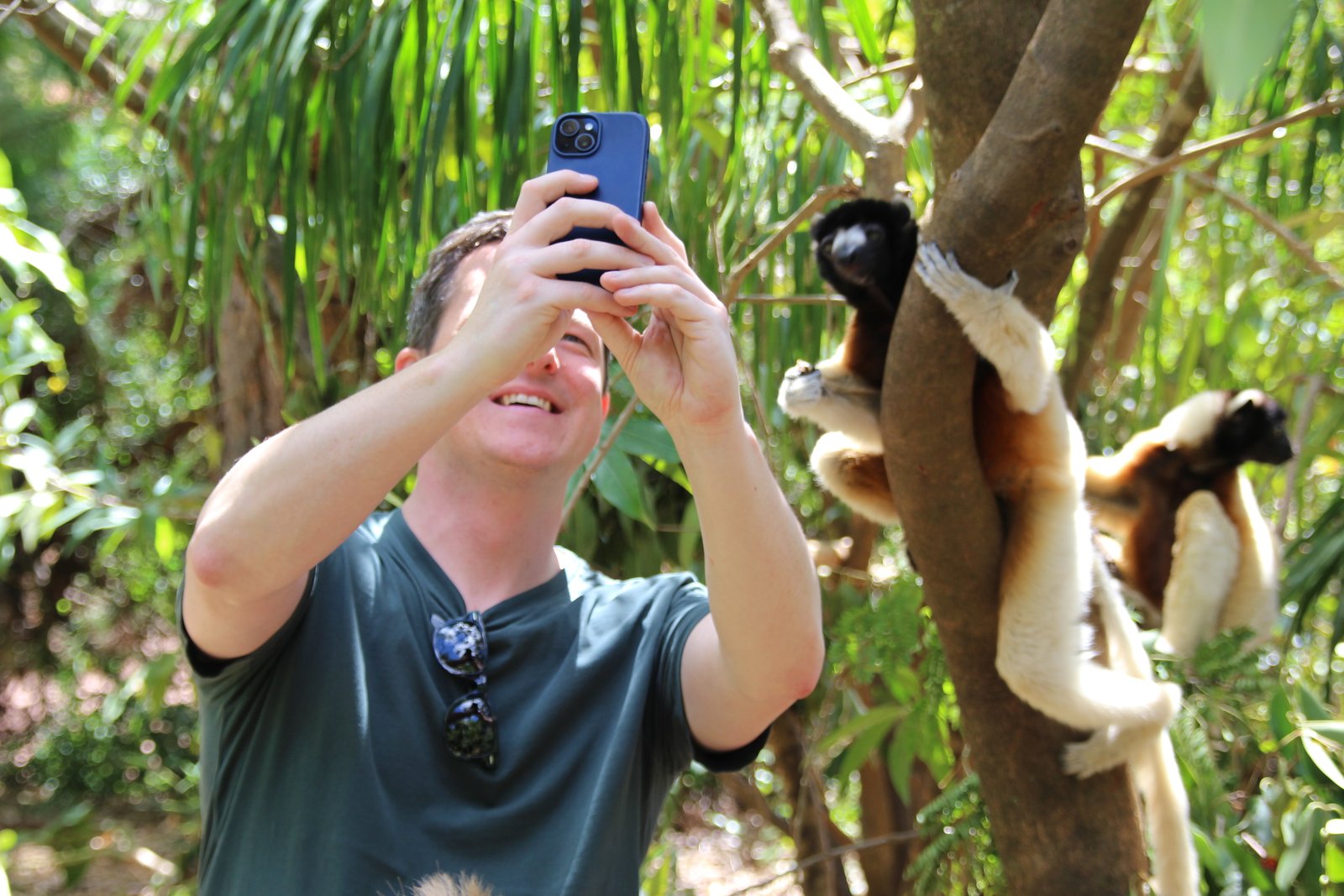 Tours and activities in Madagascar