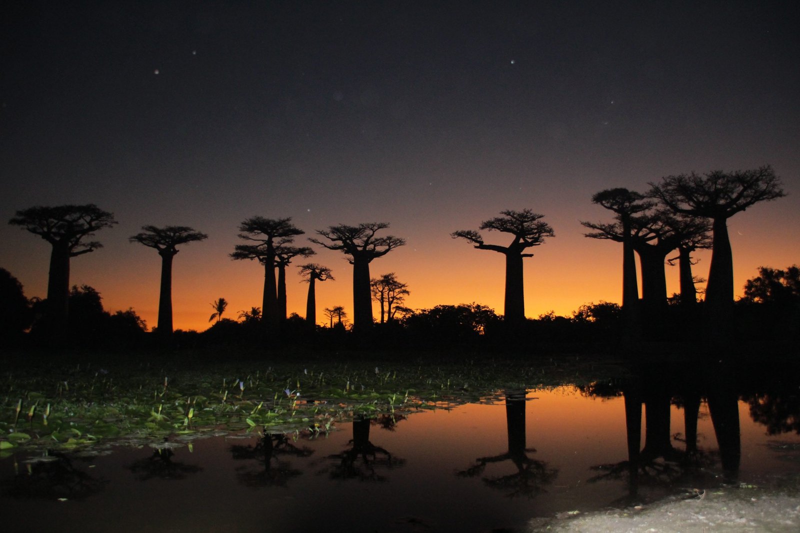 Madagascar Nature